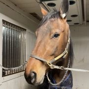Nailah de veluwe